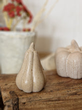 Load image into Gallery viewer, Matt Speckled Netural Ceramic Pumpkins - Three Sizes