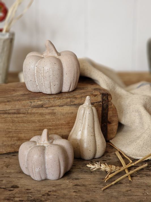 Matt Speckled Netural Ceramic Pumpkins - Three Sizes