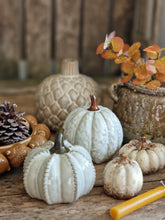 Load image into Gallery viewer, Netural Ceramic Pumpkins - various sizes & designs