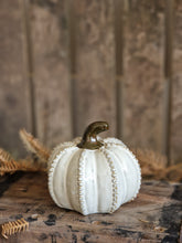 Load image into Gallery viewer, Netural Ceramic Pumpkins - various sizes & designs