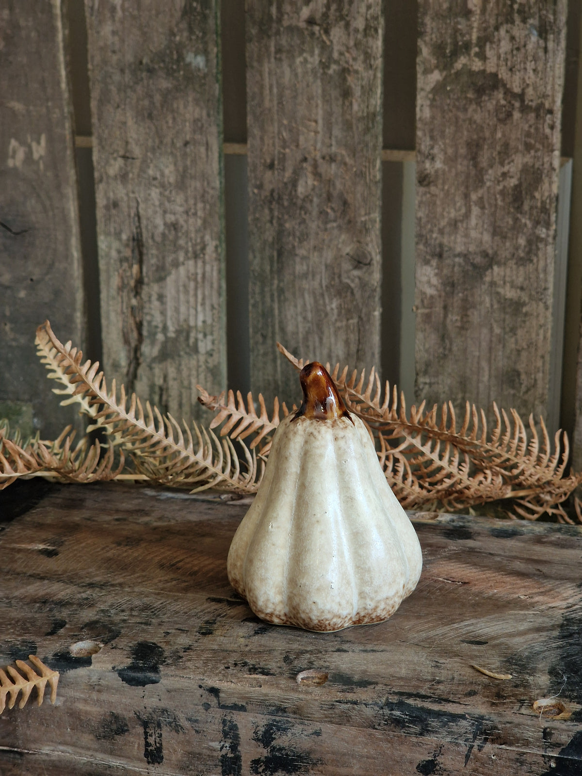 Netural Ceramic Pumpkins - various sizes & designs