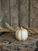 Load image into Gallery viewer, Netural Ceramic Pumpkins - various sizes & designs
