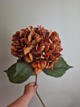 Load image into Gallery viewer, Giant Hydrangea - Rust Colour
