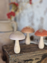 Load image into Gallery viewer, Wooden Mushroom with Velour and Sparkly Top - 3 Colours
