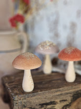 Load image into Gallery viewer, Wooden Mushroom with Velour and Sparkly Top - 3 Colours
