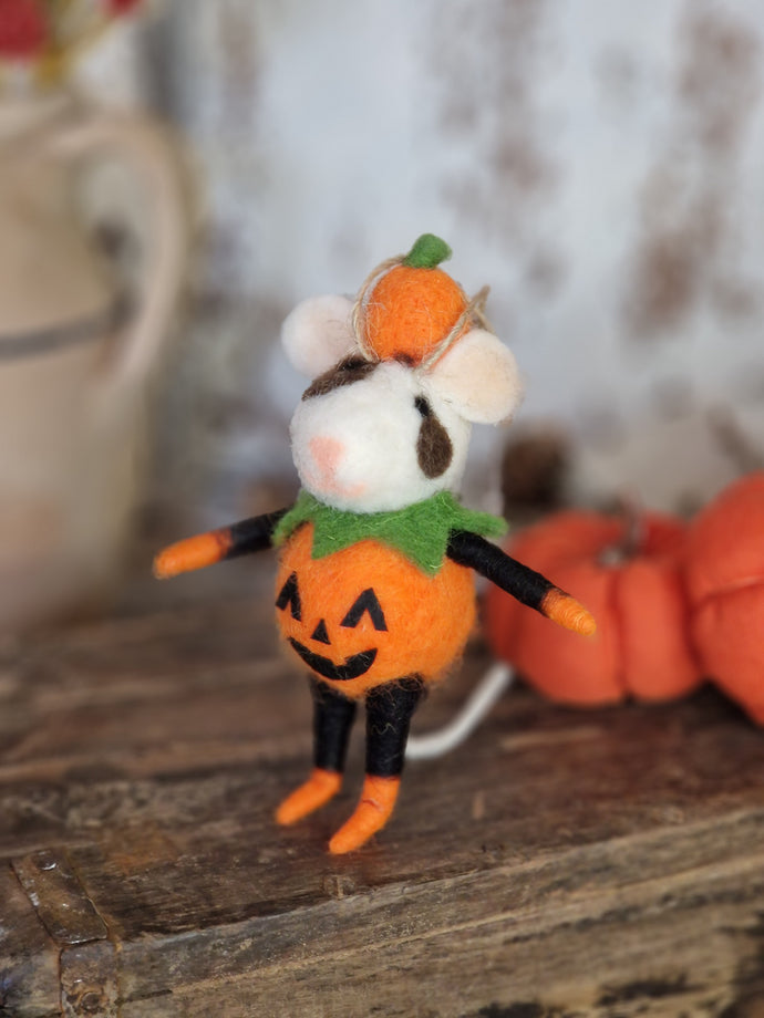 White mouse Dressed as pumpkin