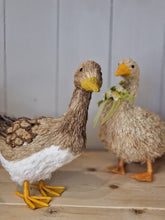 Load image into Gallery viewer, Lucy Goose &amp; Danielle Duck - Bristle Decorations
