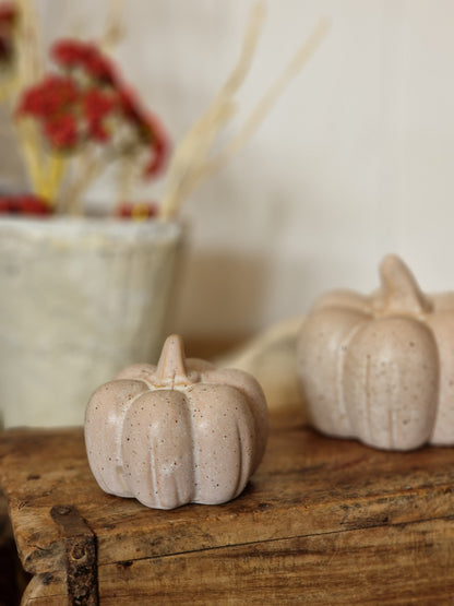 Matt Speckled Netural Ceramic Pumpkins - Three Sizes