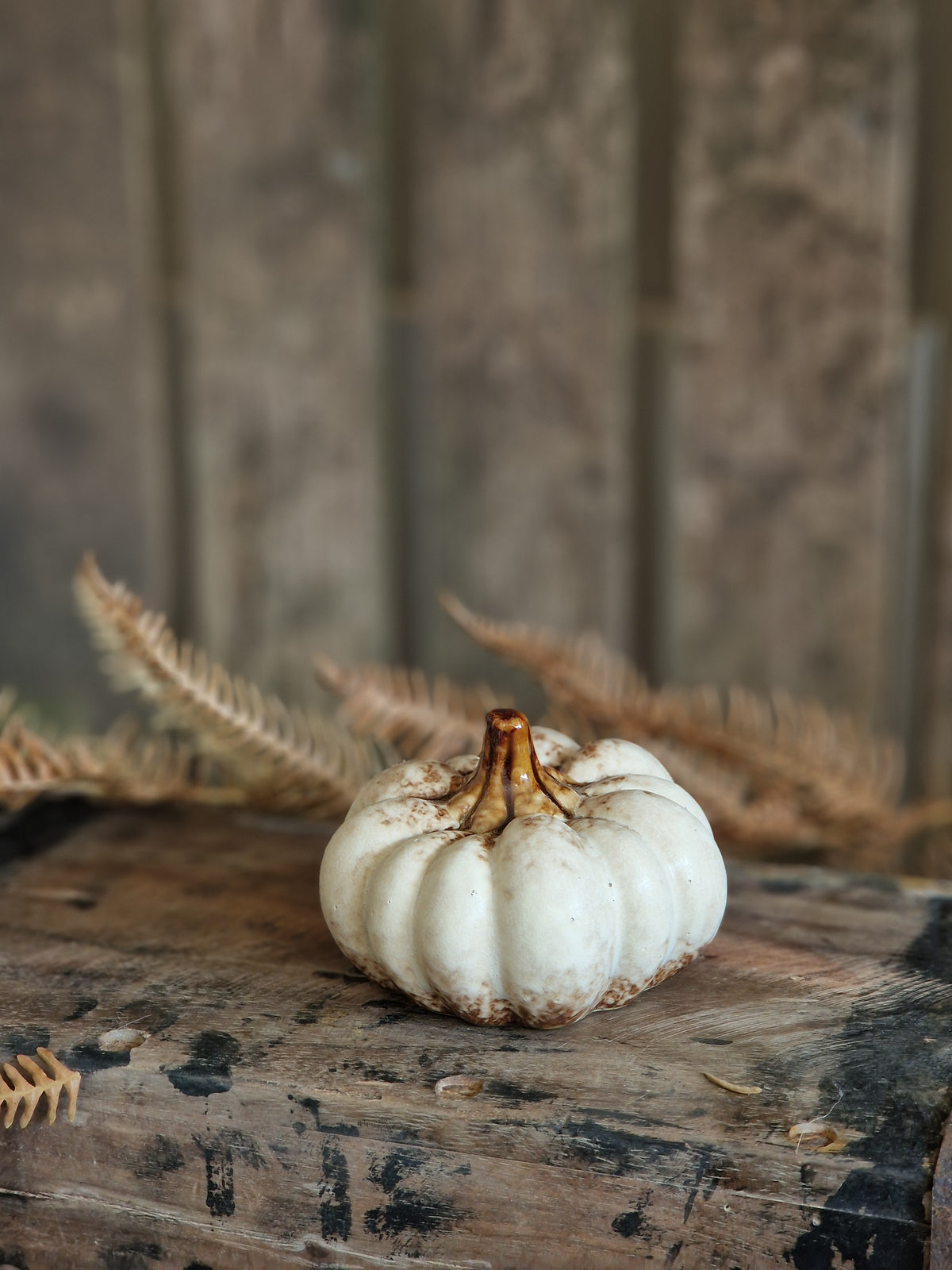 Netural Ceramic Pumpkins - various sizes & designs