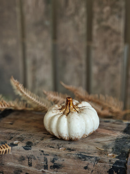 Netural Ceramic Pumpkins - various sizes & designs