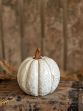 Load image into Gallery viewer, Netural Ceramic Pumpkins - various sizes &amp; designs
