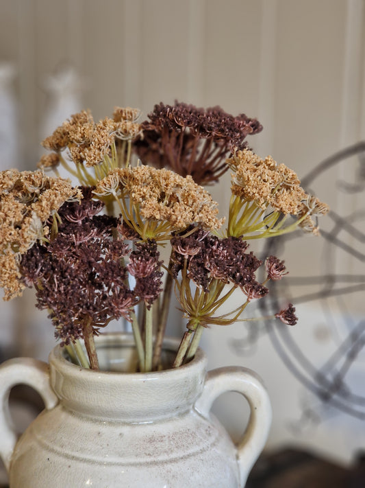 Faux Cow Parsley - 2 colours