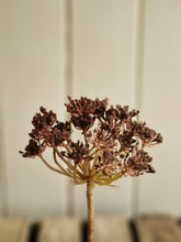 Load image into Gallery viewer, Faux Cow Parsley - 2 colours
