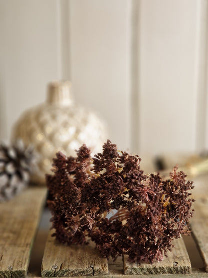 A dried floral arrangement in deep burgundy and brown tones, styled on a rustic wooden surface with a blurred decorative vase and pinecone in the background.