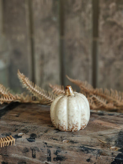 Netural Ceramic Pumpkins - various sizes & designs