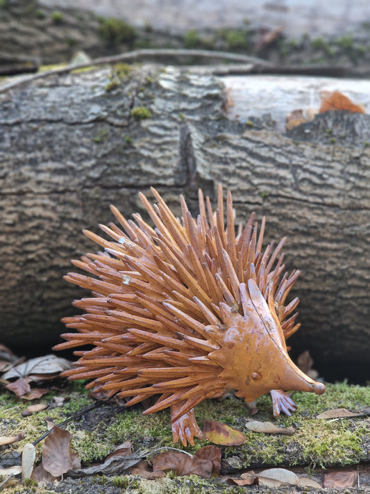 Hettie Hedgehog - Garden Ornament