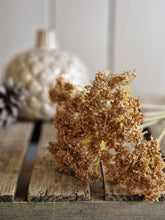 Load image into Gallery viewer, Faux Cow Parsley - 2 colours
