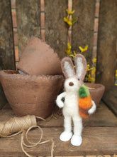 Load image into Gallery viewer, Easter Bunny with Carrot or Sunflower
