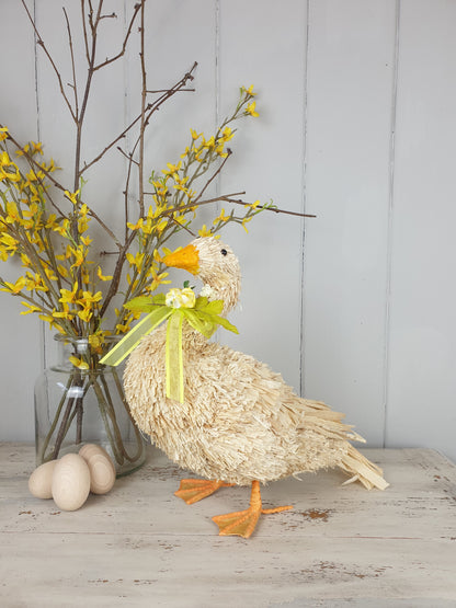 Lucy Goose & Danielle Duck - Bristle Decorations