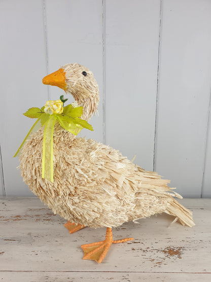 Lucy Goose & Danielle Duck - Bristle Decorations