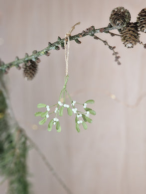 hanging mistletoe 